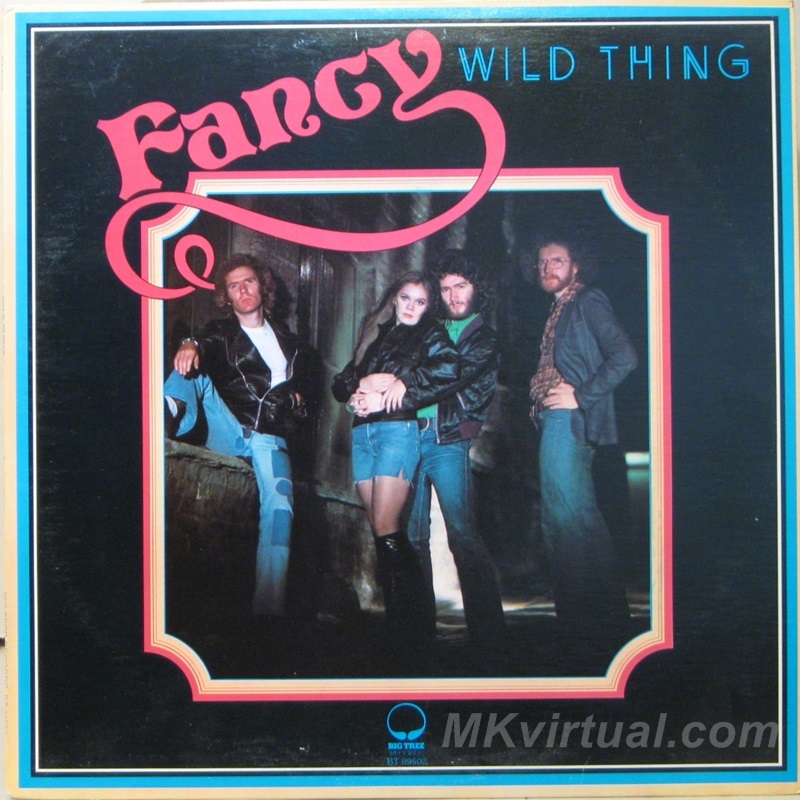 Fancy - Wild thing LP